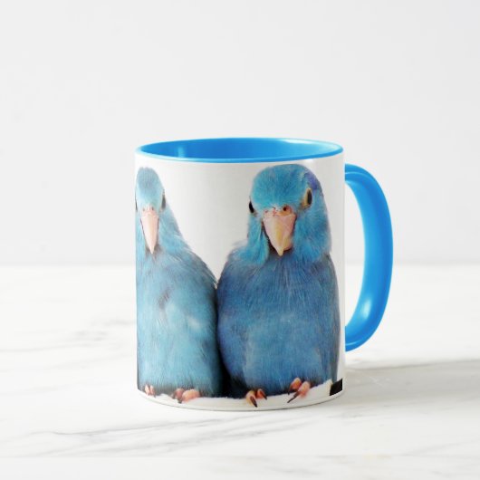 Kunst voor driepunts Pacific Blue Parrotlet Mok Cu (Voorkant rechts)