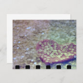 Kunst voor hart (Voorkant / Achterkant)