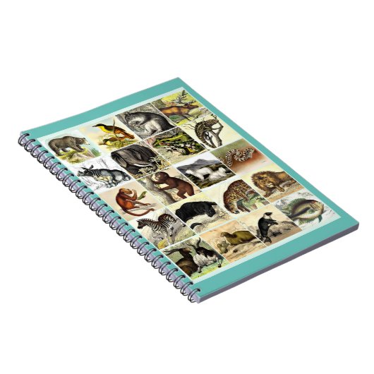 Kunst voor het Oerwoud- en zeebodemblad Notitieboek (Rechterzijde)