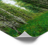 Kunst voor mooie vogelbomen poster (Hoek)