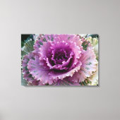 Kunst voor ornamental Kale Closeup Stretted Canvas (Voorkant)