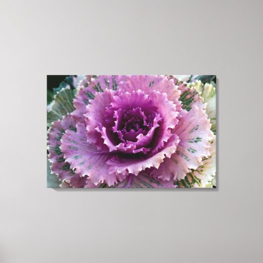 Kunst voor ornamental Kale Closeup Stretted Canvas (Voorkant)