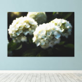 *~* Kunst Witte Hydrangea TV2 Uitgerekte Canvas Pr Afdruk (Insitu (Houten vloer))