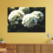 *~* Kunst Witte Hydrangea TV2 Uitgerekte Canvas Pr Afdruk (Insitu (Woonkamer))