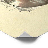 Kunstaarten - Anatomie Afdrukken Poster (Hoek)