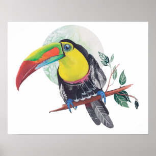 Kunstafdrukken op rottenverf Exotische vogelstand  Poster