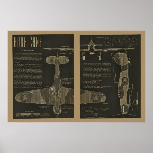 Kunstafdrukken van het vliegtuigontwerp voor de or poster (Voorkant)