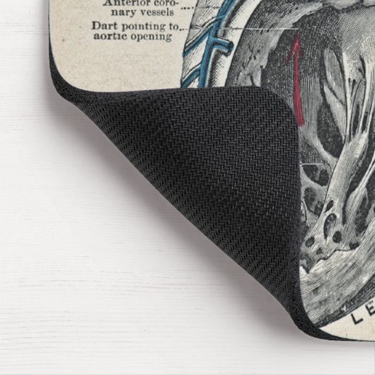 kunstanatomisch hartdiagram - wetenschap muismat (Hoek)