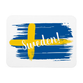 Kunstborstels Zweden Vlag Magneet