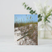 Kunstcadeaus voor Clearwater Beach Florida Briefkaart (Staand voorkant)