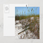 Kunstcadeaus voor Clearwater Beach Florida Briefkaart (Voorkant / Achterkant)