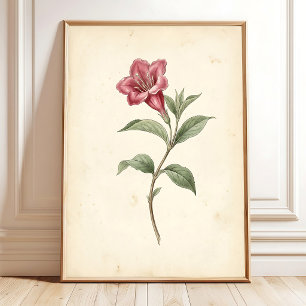 Kunstcanvas met vintage Weigela botanische afbeeld Poster