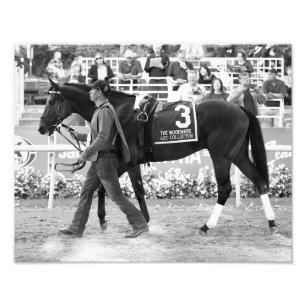 Kunstcollectorfoto's afdrukken foto afdruk