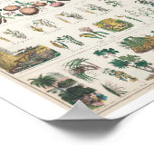  kunstdrukwerk voor de fruitfamilie poster (Hoek)