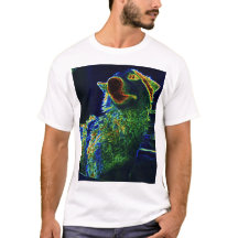 Kunstenaar ontwierp T-shirt, Gonzo de Kosmische Ho