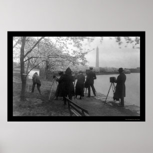 Kunstenaars en Cherry Trees in Washington, DC 1920 Poster