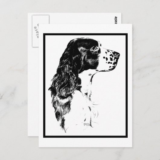  kunstEngels Springer Spaniel Briefkaart (Voorkant / Achterkant)