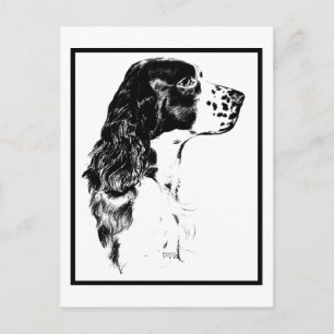 kunstEngels Springer Spaniel Briefkaart