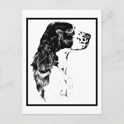  kunstEngels Springer Spaniel Briefkaart (Voorkant)