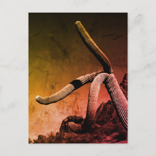 Kunstfoto van Saguaro Cactus in bijtende stijl Briefkaart