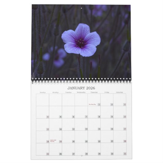 Kunstfoto's - 2013 kalender (Jan 2026)