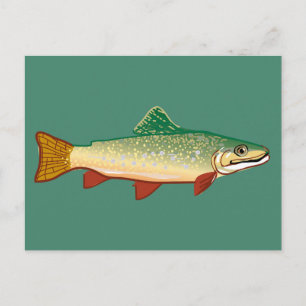 Kunstillustratie forel briefkaart