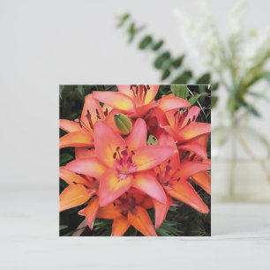 Kunstkoraal met gekleurde tuinlilies feestdagenkaart
