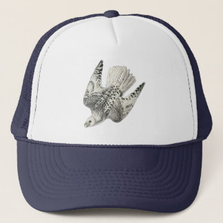  kunstkraker Gyrfalcon Falcon Diving Trucker Pet