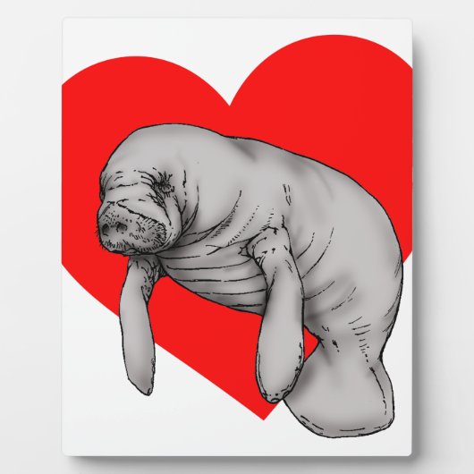 kunstkunst fotoplaat (Voorkant)