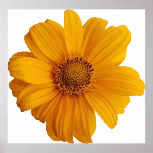 Kunstkunst met annotatie poster (Voorkant)