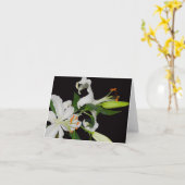 KunstLily Collectie-Wenskaarten Kaart (Gele Bloem)