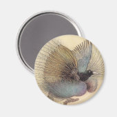 Kunstmagneet van het paradijsvogeltje magneet (Voorkant / Achterkant)