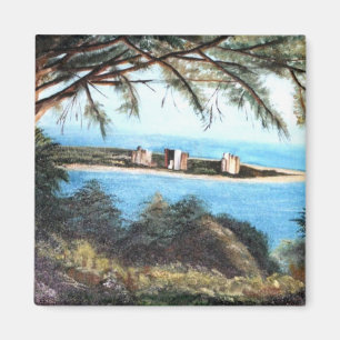 kunstmagneten magneet