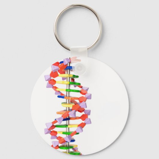 Kunstmatig DNA-model Sleutelhanger (Voorkant)