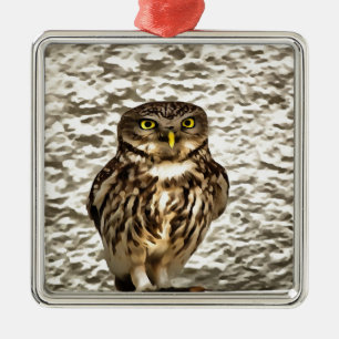 Kunstmatig portret van Small Brown Barn Owl Metalen Ornament
