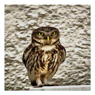 Kunstmatig portret van Small Brown Barn Owl Perfect Poster