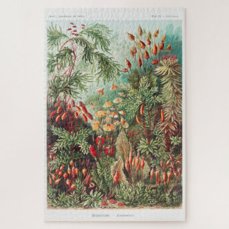 Kunstmatige  illustratie Natuur Ernst Haeckel Legpuzzel