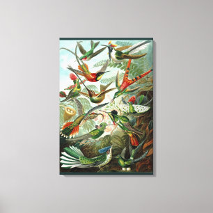 Kunstmatige kolibrie - Kunstvormen van Natuur Canvas Afdruk
