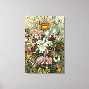 Kunstorchideeën - Kunstvormen van Natuur Canvas Afdruk