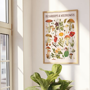 Kunstposter met illustraties van paddenstoelen en  poster