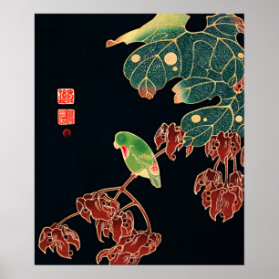 Kunstposterprint van Japanse parkietvogel uit het Poster