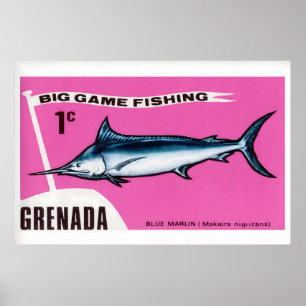 Kunstprint Blauwe Marlijn Luciferdoosje, Grenadiaa Poster