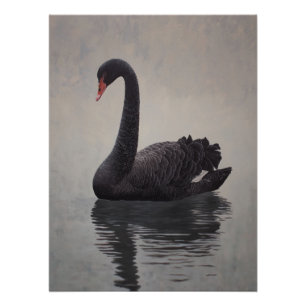 Kunstprint met antieke zwarte zwaan perfect poster