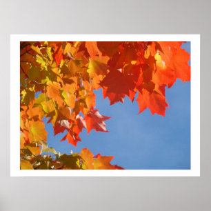 Kunstprint natuur Kleurrijke herfstbladeren Poster