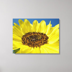 Kunstprint op canvas Gele Zonnebloem Blauwe Lucht Afdruk