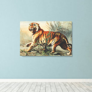 Kunstprint van koninklijke Bengaalse tijger in vin Canvas Afdruk