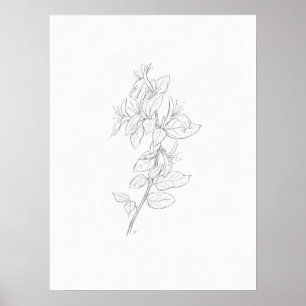 Kunstprinten van Honeysuckle Poster