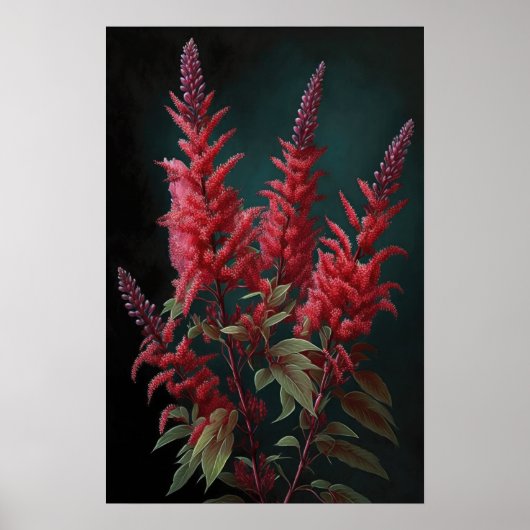 Kunstprintposter met rode Astilbe-bloem Poster (Voorkant)