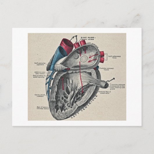  kunstschilderij - Wetenschap Briefkaart (Voorkant)