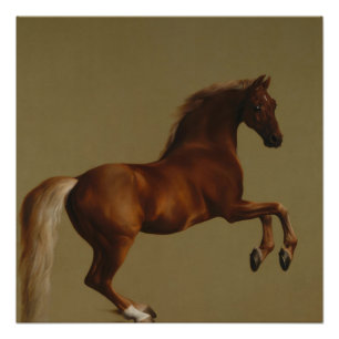  kunstschildjasje van George Stubbs Perfect Poster